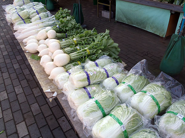 地元野菜が沢山売られていた